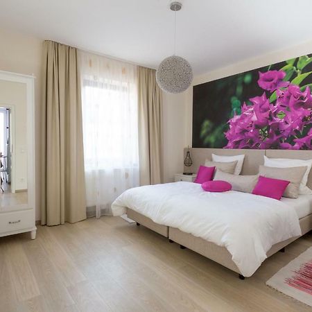 Villa Renatus Обернхайм на Майн Екстериор снимка